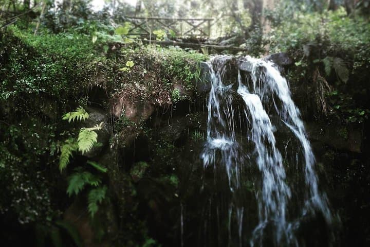 Sintra Kingdom of Love Private Day Walk — 6 km Historic Forest Hike with a Historian photo 3