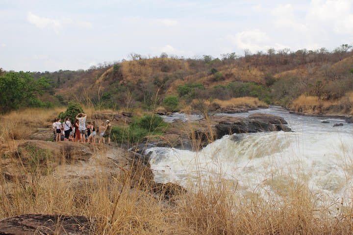 3-Day Murchison Falls Safari: Nile, Wildlife & Shoebills photo 3