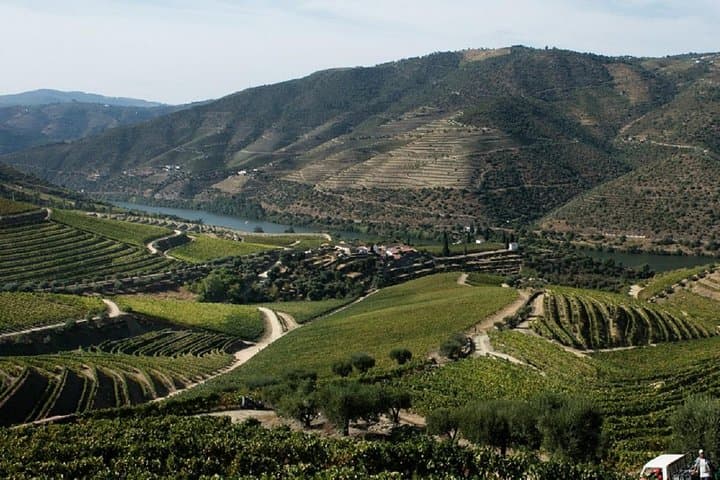 Taste the Douro: Full-Day Vintage Wine Tour with Rabelo Boat Ride photo 4