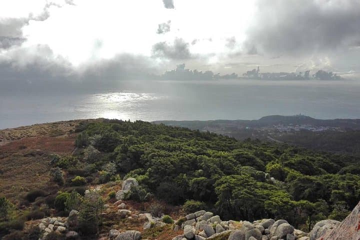 Evening Forest Walk in the Sintra Mountains — 'Inbetween Wolves' Night Hike with a Historian photo 4