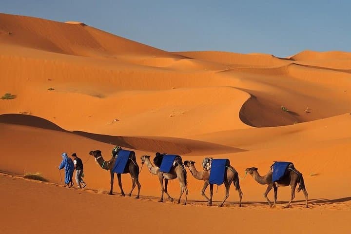 Marrakech to Chegaga: 2-Day Desert Tour Across the Draa Valley & Erg Lehoudi photo 2