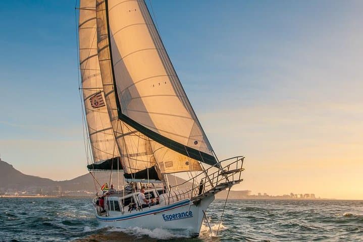 Toast the Cape: Sunset Champagne Cruise from Cape Town Harbor photo 6