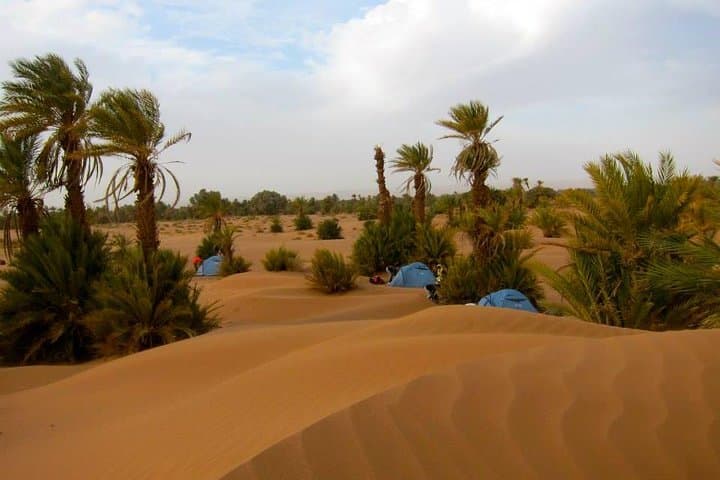 Two-Day Marrakech to Zagora Desert Tour: Ait Ben Haddou, Draa Valley & Camel Bivouac photo 1