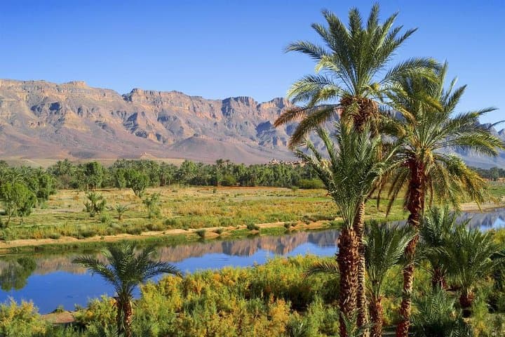 Marrakech to Zagora: 2-Day Private Desert Tour through Ait Ben Haddou and the Draa Valley photo 3