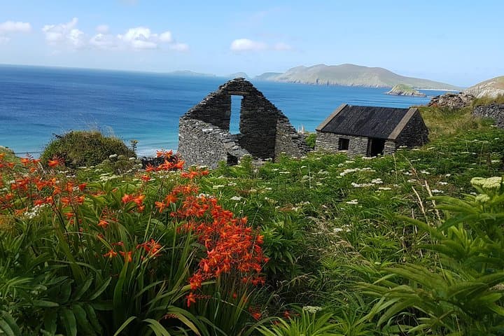 Private Dingle Peninsula Full-Day Tour: Connor Pass, Beehive Huts & Coastal Views photo 2