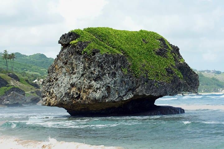Barbados Island Tour: Lunch, Flower Forest & Wildlife Sanctuary Adventure photo 3