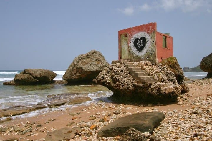 Barbados Island Tour: Lunch, Flower Forest & Wildlife Sanctuary Adventure photo 4