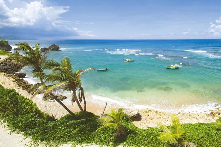 Barbados Island Tour: Lunch, Flower Forest & Wildlife Sanctuary Adventure photo 6