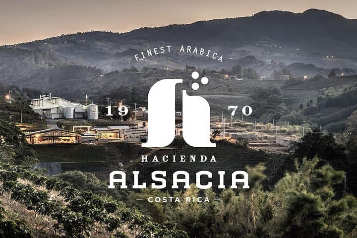 Hacienda Alsacia Starbucks Coffee Farm Tour: Behind the Working Coffee Estate