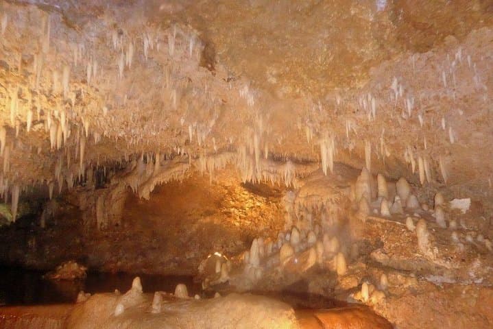 Exploring Harrison's Cave: Guided Tram Tour from Bridgetown photo 5
