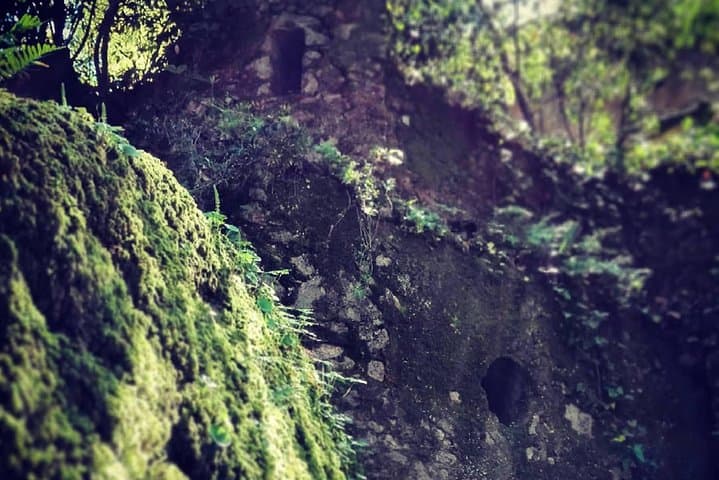 Walk in Andersen's Footsteps: Private Sintra Walking Tour photo 5