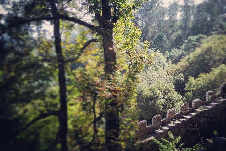 Sintra Legends and Medieval Stories: Private Day Walk with a Historian photo 5