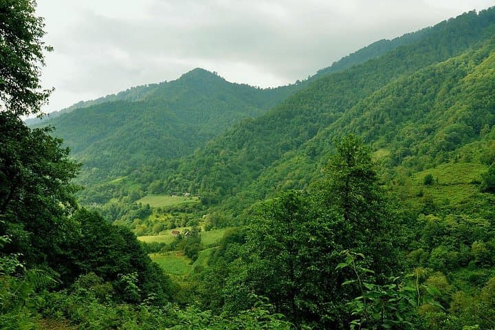 Mtirala National Park Tour: Waterfalls, Subtropical Hikes & Local Lunch from Batumi photo 2