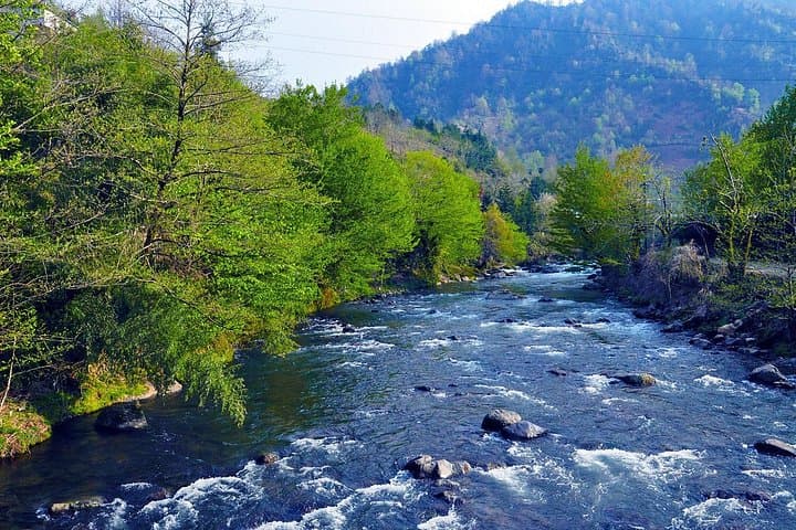 Mtirala National Park Tour: Waterfalls, Subtropical Hikes & Local Lunch from Batumi photo 3