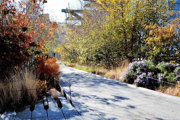 High Line and Chelsea Walking Tour: Morning Small-Group Experience photo 6