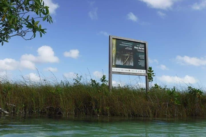 Sian Ka'an Private Full-Day: Muyil Mangroves & Cenote Corazón