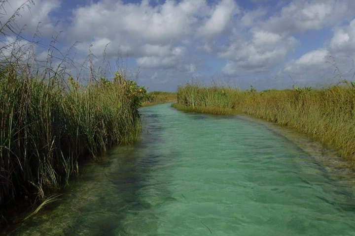 Sian Ka'an Private Full-Day: Muyil Mangroves & Cenote Corazón photo 2