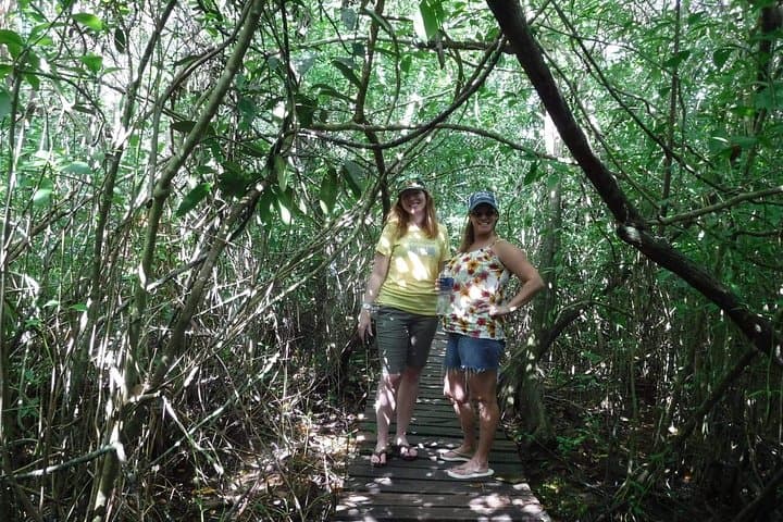 Sian Ka'an Private Full-Day: Muyil Mangroves & Cenote Corazón photo 3