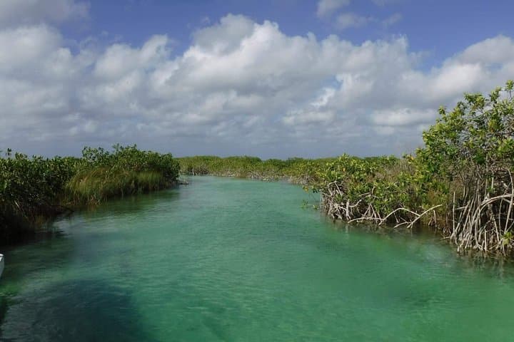 Sian Ka'an Private Full-Day: Muyil Mangroves & Cenote Corazón photo 4