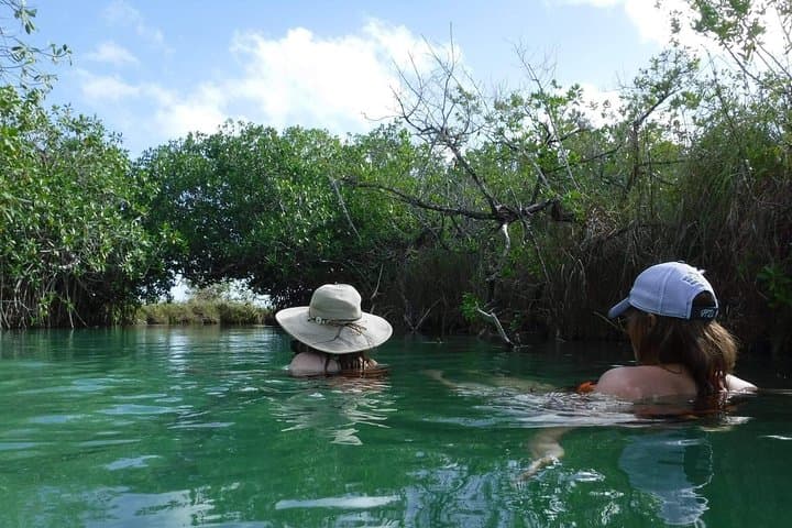 Sian Ka'an Private Full-Day: Muyil Mangroves & Cenote Corazón photo 5
