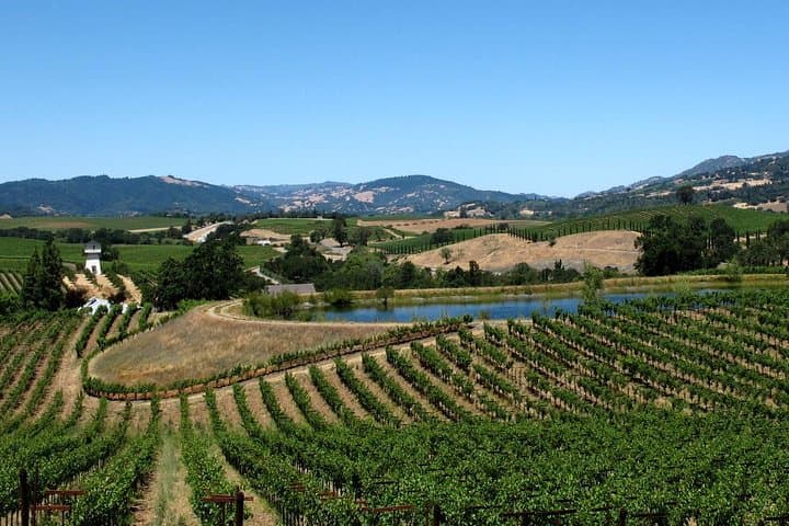 Muir Woods and Napa: 8-Hour Private Scenic Wine Tour from San Francisco photo 4