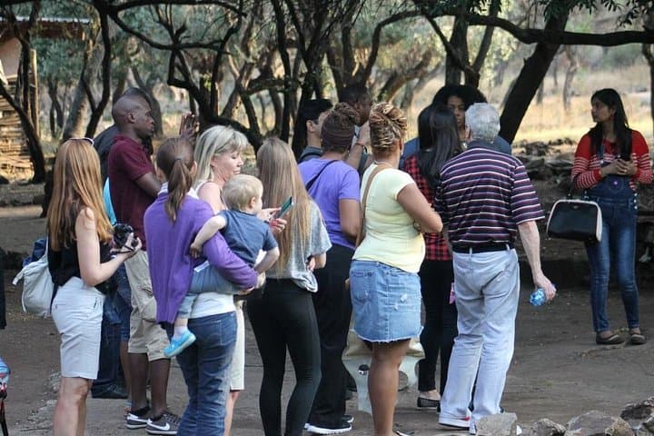 Soweto & Lesedi Cultural Village Day Tour — History, Dance and Local Flavors photo 4