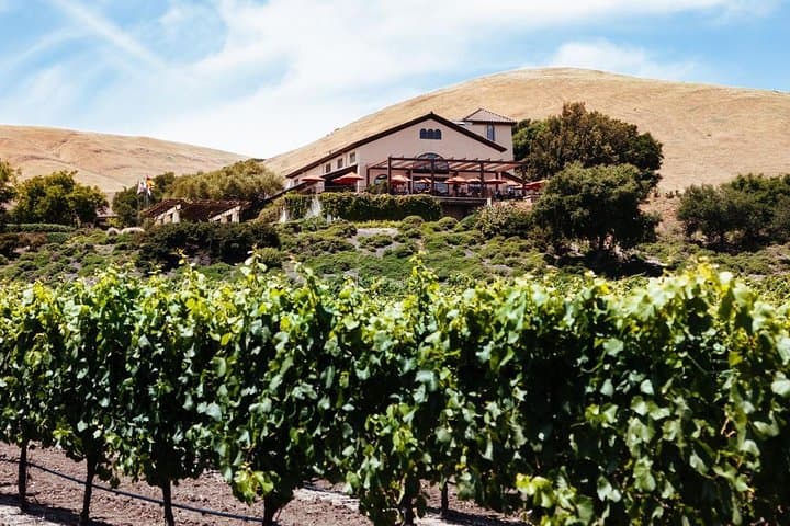 San Francisco to Napa & Sonoma: 8-Hour Private Wine Tour with Concierge photo 2
