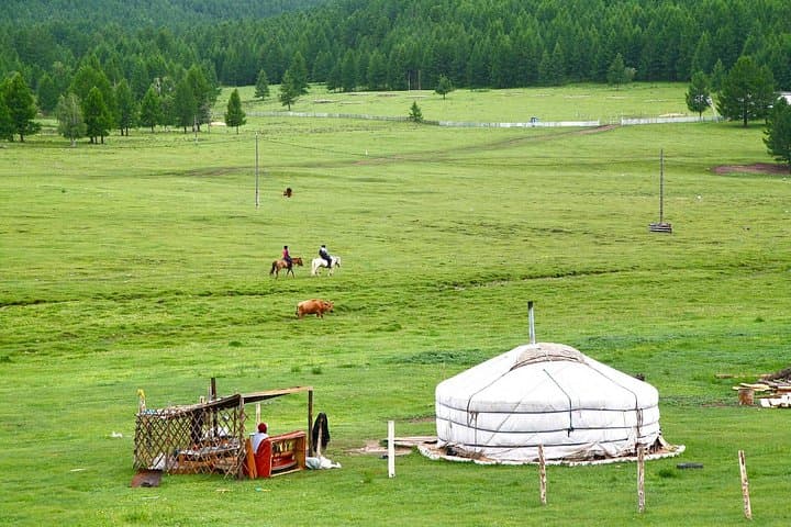 Khustai National Park Day Tour from Ulaanbaatar — See Wild Takhi Horses photo 2