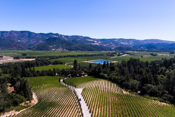Napa Valley Best Private Wine Tour with Local Expert photo 2