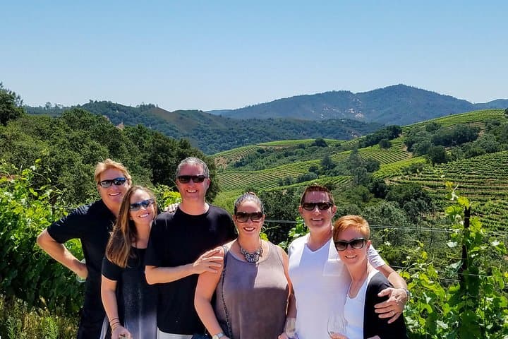 Napa Valley Best Private Wine Tour with Local Expert photo 3