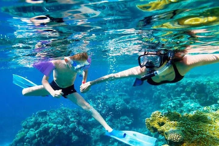 SkyReef Cozumel Snorkel and Tequila Tasting Beach Club Experience
