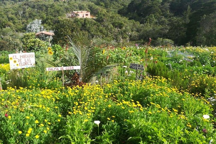 Santa Elena Flower Farm & Silleteros Cultural Tour from Medellín photo 5