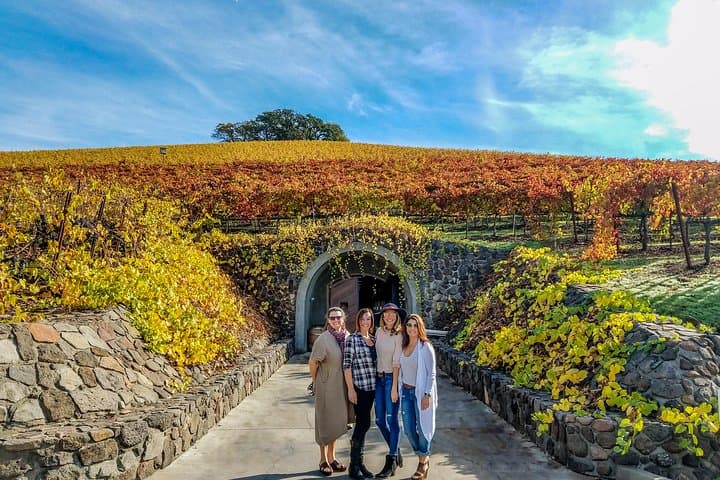 Napa Valley Best Private Wine Tour with Local Expert photo 6