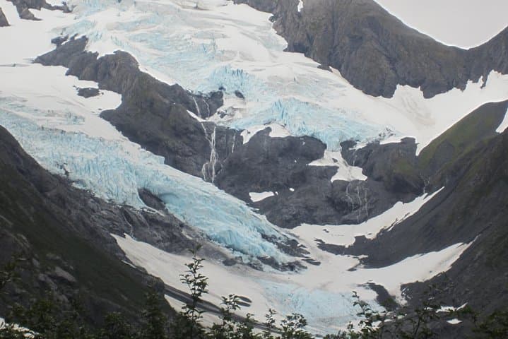 Anchorage Half-Day Wildlife and Glacier Tour: Turnagain Arm, AWCC, and Rainforest Walk photo 5