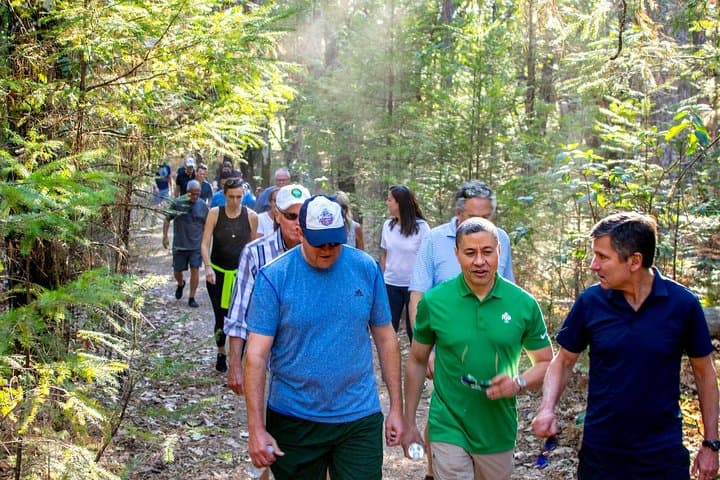 Hike and Wine in Napa Valley: Morning Redwoods to Afternoon Tastings photo 2