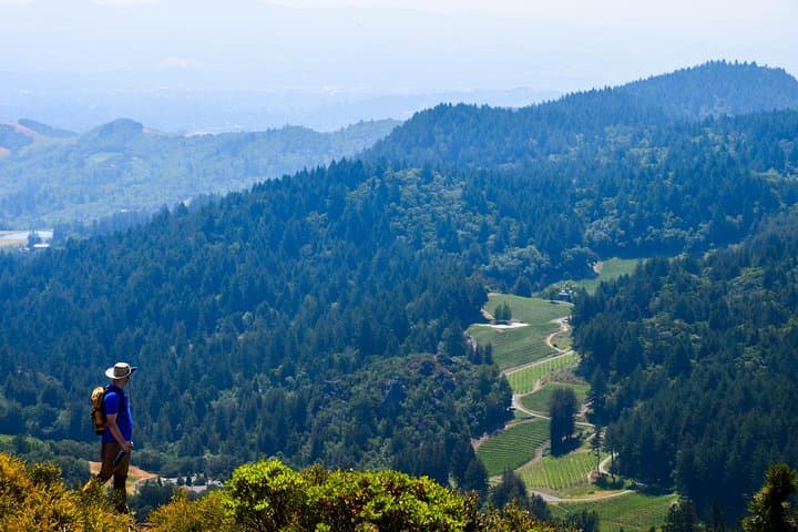 Hike and Wine in Napa Valley: Morning Redwoods to Afternoon Tastings photo 3