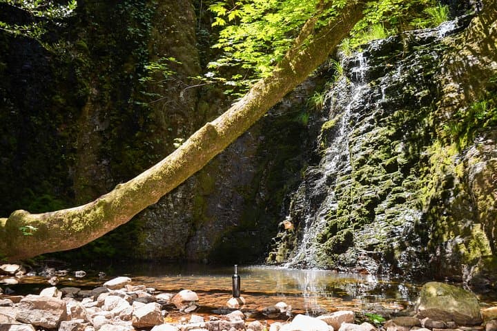 Hike and Wine in Napa Valley: Morning Redwoods to Afternoon Tastings photo 5