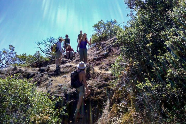 Hike and Wine in Napa Valley: Morning Redwoods to Afternoon Tastings photo 6