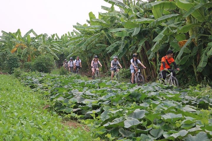 Hanoi Bicycle Tour: Backstreets, Train Street & Long Bien Bridge photo 5