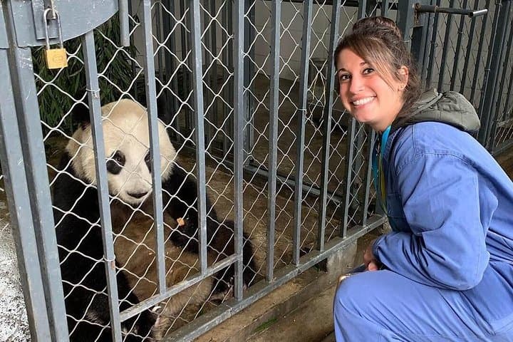 Dujiangyan Panda Volunteer Experience with Lunch — Behind-the-Scenes Panda Care from Chengdu photo 4