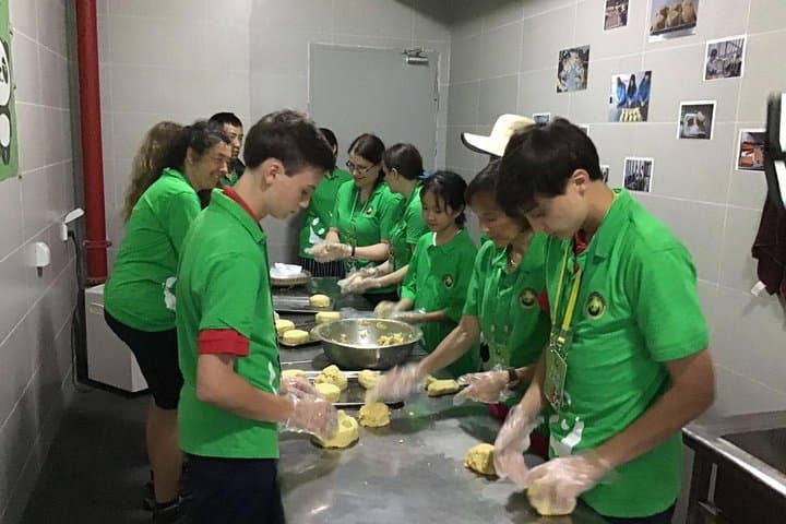 Dujiangyan Panda Volunteer Experience with Lunch — Behind-the-Scenes Panda Care from Chengdu photo 3