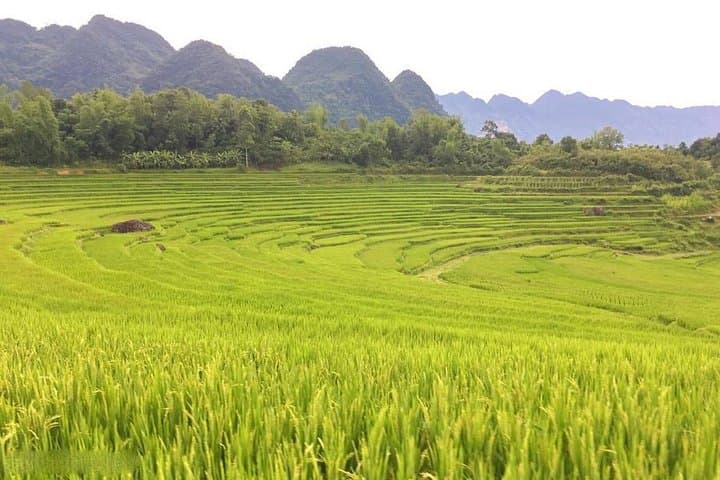 3-Day Mai Chau & Pu Luong Trek: Rice Terraces, Stilt-House Homestays, and Hill-Top Views photo 4