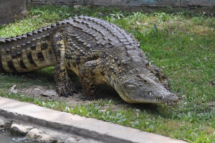 Melaka Ayer Keroh Gardens, Museums & Zoo Day Tour from Kuala Lumpur photo 5