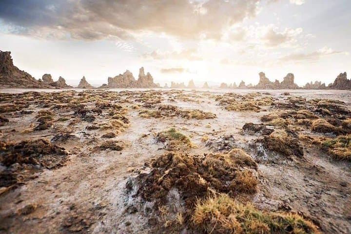 3-Day Danakil Depression Adventure: Dalol, Lake Afdera & Erta Ale from Semera photo 6