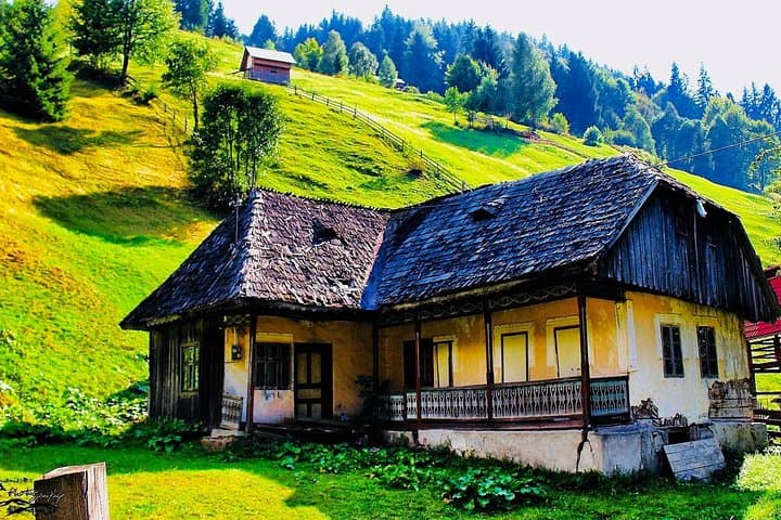 Carpathian Mountain Villages & Libearty Brown Bear Sanctuary Day Tour from Bucharest photo 2