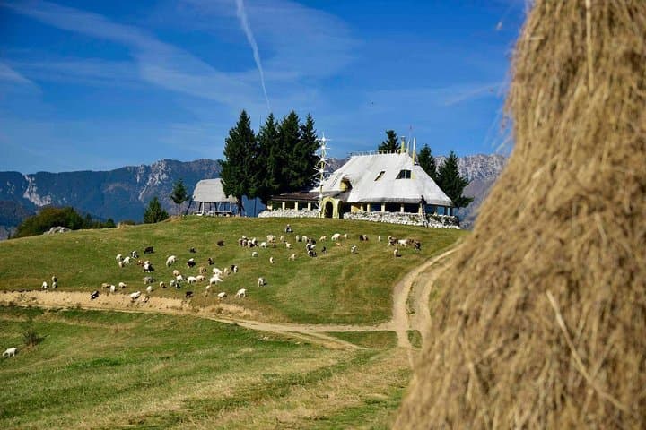 Carpathian Mountain Villages & Libearty Brown Bear Sanctuary Day Tour from Bucharest photo 4
