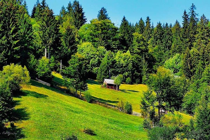 Carpathian Mountain Villages & Libearty Brown Bear Sanctuary Day Tour from Bucharest photo 3