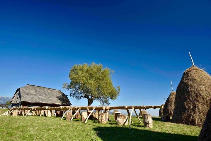 Carpathian Mountain Villages & Libearty Brown Bear Sanctuary Day Tour from Bucharest photo 5