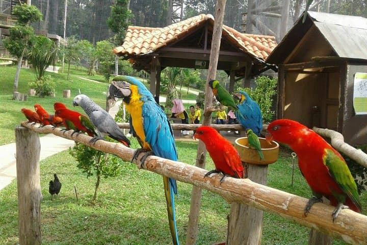 Melaka Ayer Keroh Gardens, Museums & Zoo Day Tour from Kuala Lumpur photo 4