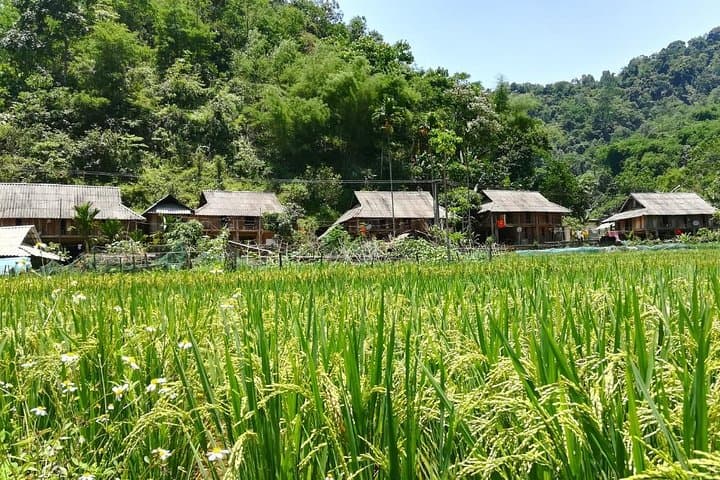 3-Day Mai Chau & Pu Luong Trek: Rice Terraces, Stilt-House Homestays, and Hill-Top Views photo 6